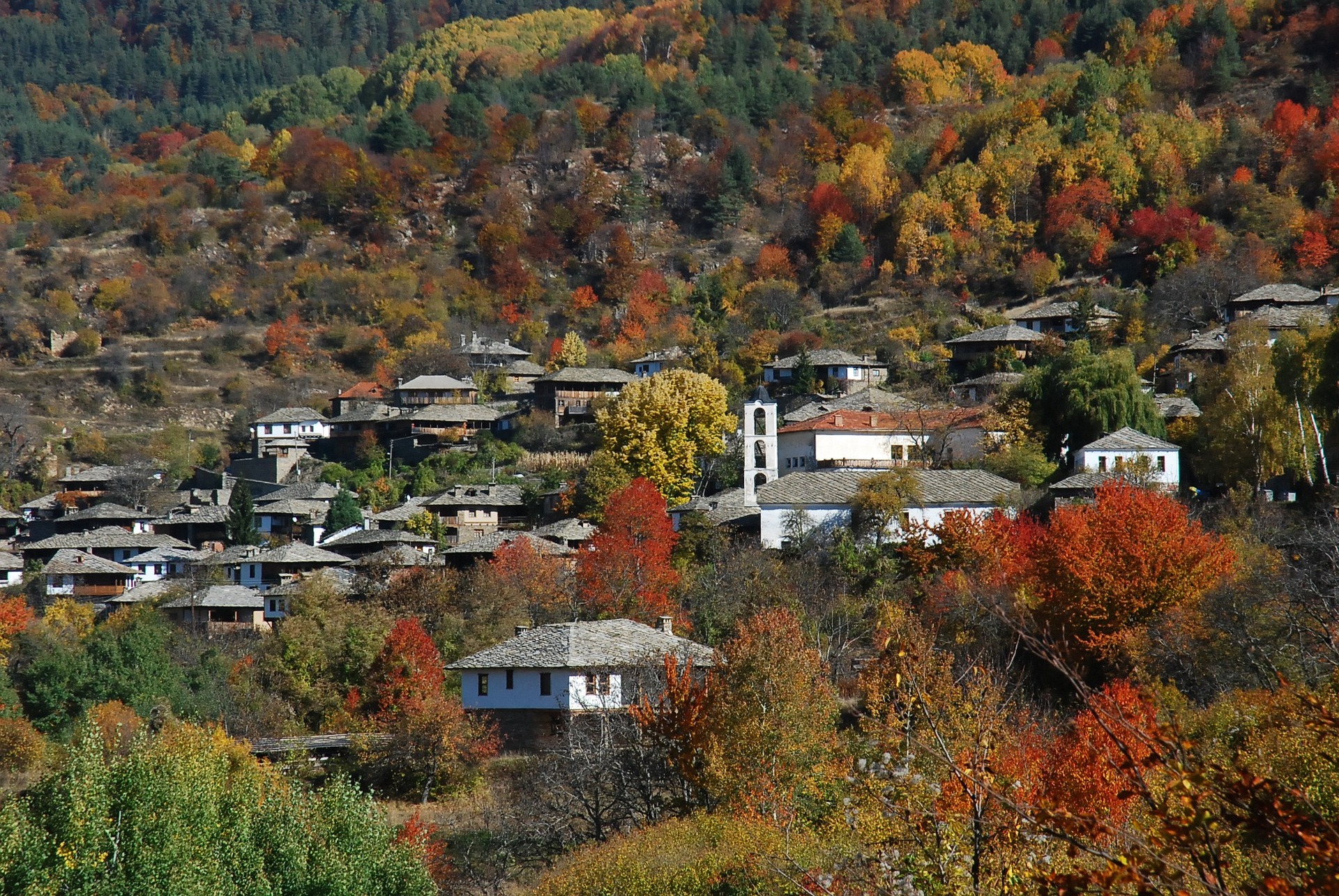 Ковачевица