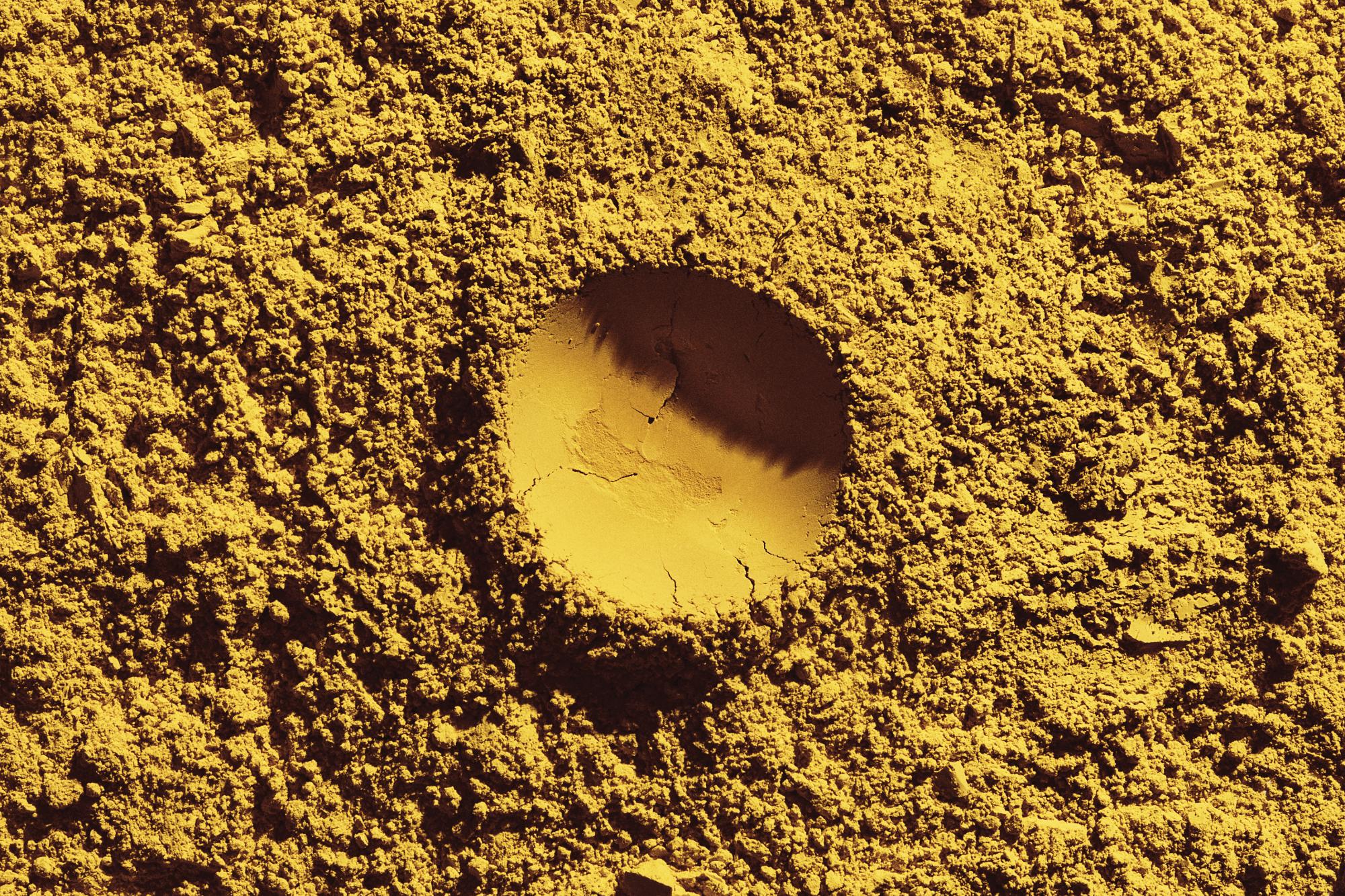 solar foods