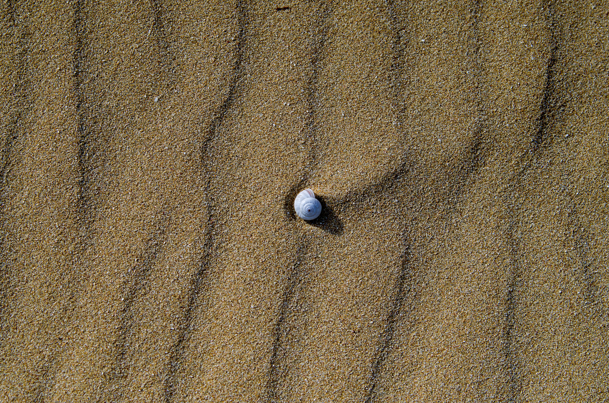 pic