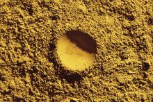 solar foods